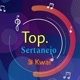 TOP. SERTANEJO