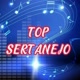 TOP SERTANEJO