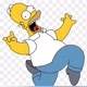 Homer Curioso