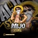 PAIJO STORE