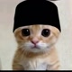 ༄pp kucing ramadhan༆