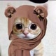 PP KUCING RAMADHAN