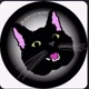 Black cat_music