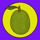 JackFruit_ki