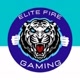 Elite Fire Gaming