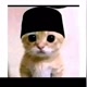 kucing islami