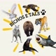 BICHOS E TALS