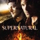 super fã sobrenatural