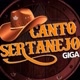 Canto Sertanejo 🎼🎸