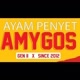Ayam Penyet Amygos