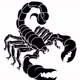 scorpio