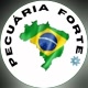 pecuaria forte br