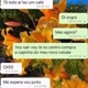 conversas,do,whatsapp