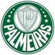 palmeiras 🐷