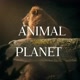 ANIMAL PLANET