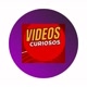 vídeos curiosos