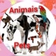 pets e animais
