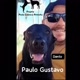 Paulo Gustavo Vieira Curti