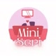 Mini Seri
