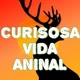 CURIOSA VIDA ANIMAL