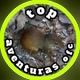 TOP_ AVENTURAS OFC