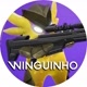 Winguinho