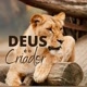 Deus é o Criador