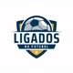 LIGADOS NO FUTEBOL