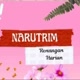 Narutrim Jaya