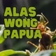 ALAS WONG PAPUA
