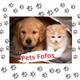 Pets Fofos