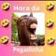 PEGADINHA