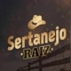sertanejo❤️