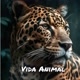Vida Animal