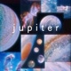 Júpiter🌼🌠🖤