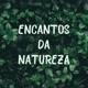 Encantos da Natureza