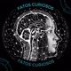 Fatos Curiosos
