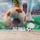 FUT GOLS ⚽