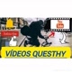 Vídeos Questhy -TAMBÉM NO YOUTUBE