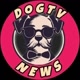 DOG TV NEWS 📽️📽️