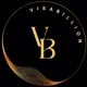 visabillion