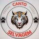 Canto selvagem