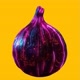 Onion Neon