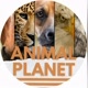 Animal Planet