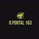 OPortal 163