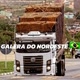 GALERA _DO_ NORDESTE 🇧🇷