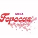 MEGA_FOFOCA