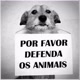 protetora de animais