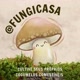 Fungicasa