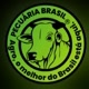 Pecuaria Brasil
